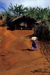 Archipel-des-Comores;-Bananiers;-Case;-Chemin;-Femme;-France;-Kaleidos;-Kaleidos-images;-La-parole-à-limage;-Laurent-Abad;-Mayotte;-Océan-Indien;-Stories-Pictures;-Terre-rouge;-Vie-quotidienne;-Village